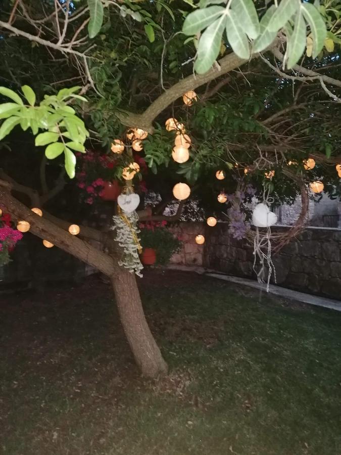 Villa Angela Dhrousha المظهر الخارجي الصورة